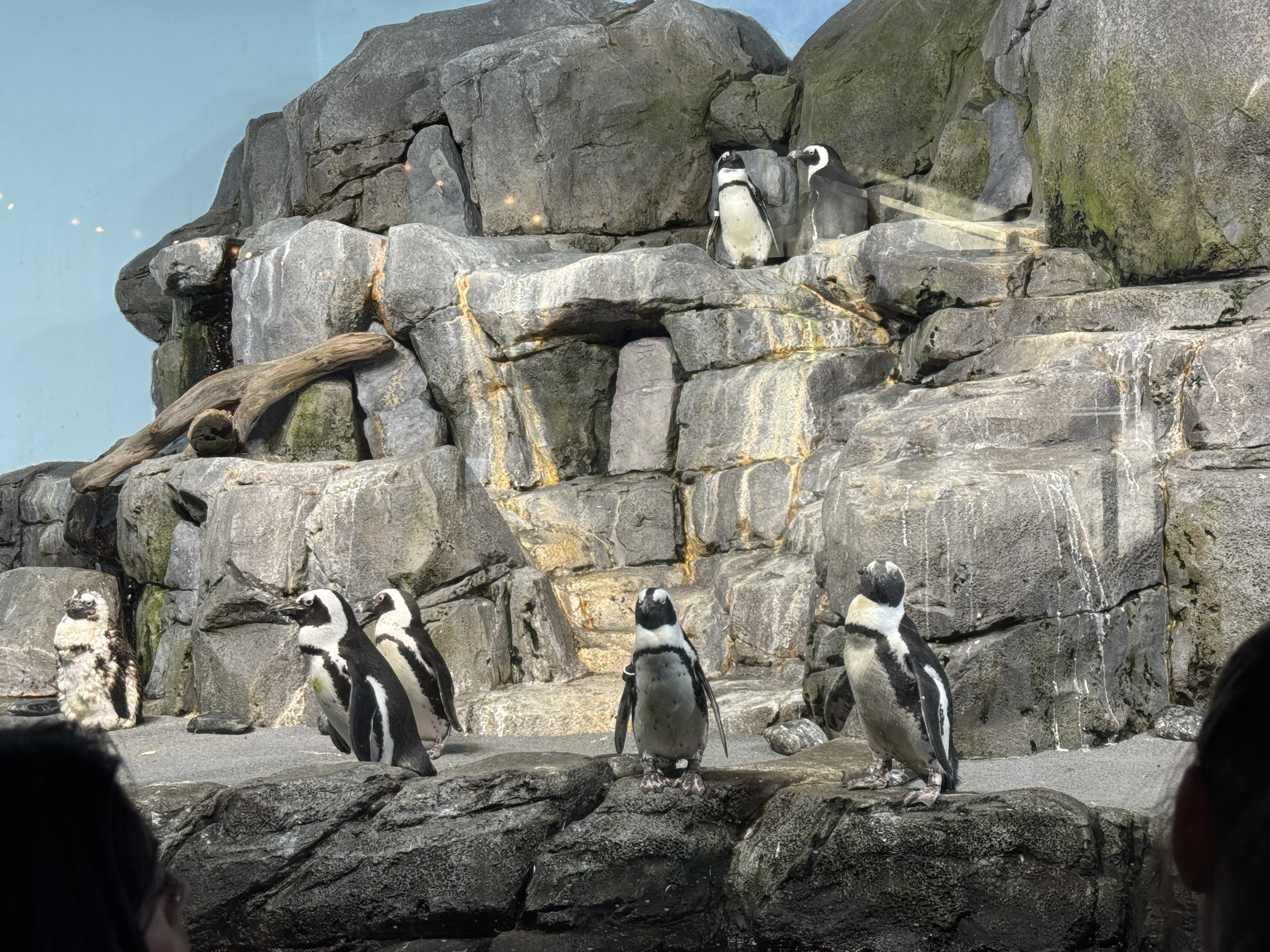 Monterey Bay Aquarium